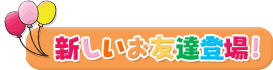 新しいお友達登場!