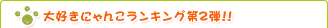 大好きにゃんこランキング第2弾!!