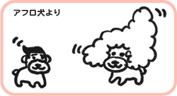 アフロ犬より