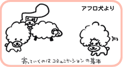 アフロ犬より
