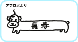 アフロ犬より
