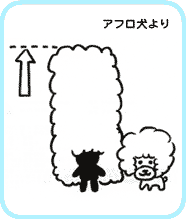アフロ犬より