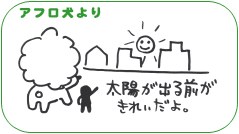 アフロ犬より