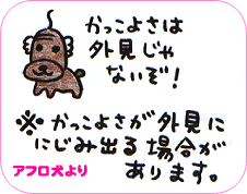 アフロ犬より