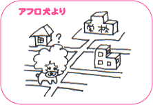 アフロ犬より