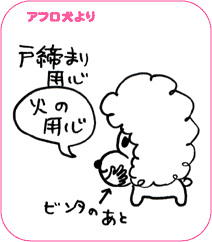 アフロ犬より