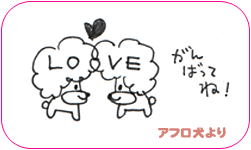 がんばってね!アフロ犬より
