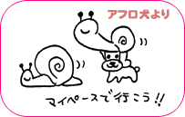 アフロ犬より