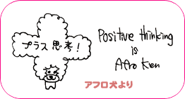 アフロ犬より