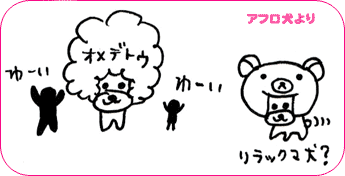 アフロ犬より