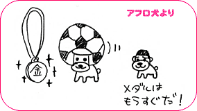 アフロ犬より