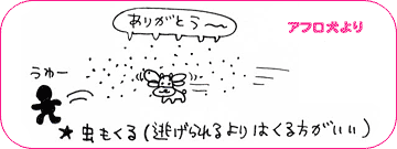 アフロ犬より
