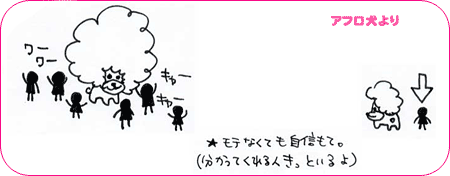 アフロ犬より