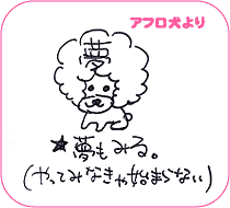アフロ犬より