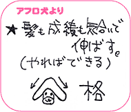 アフロ犬より