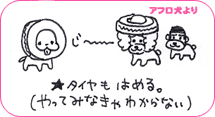 アフロ犬より
