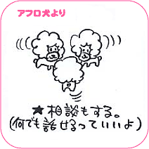 アフロ犬より