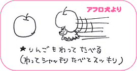 アフロ犬より