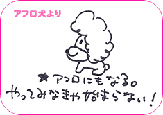 アフロ犬より