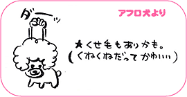 アフロ犬より