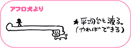 アフロ犬より