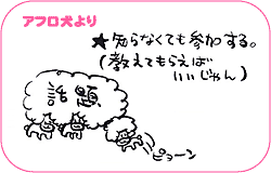 アフロ犬より