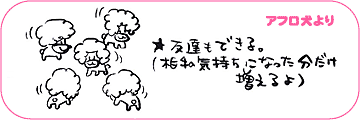 アフロ犬より