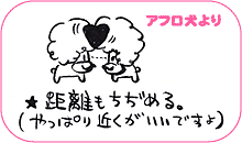 アフロ犬より