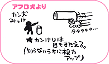 アフロ犬より