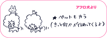 アフロ犬より