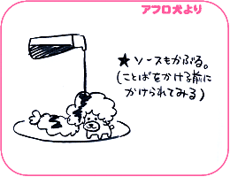 アフロ犬より