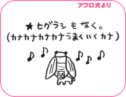 アフロ犬より