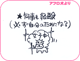 アフロ犬より