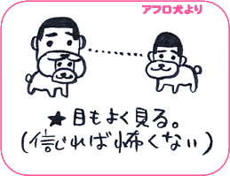 アフロ犬より