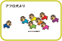 アフロ犬より