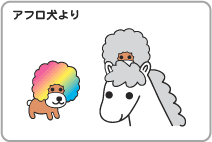 アフロ犬より