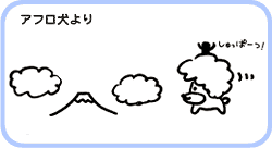 アフロ犬より
