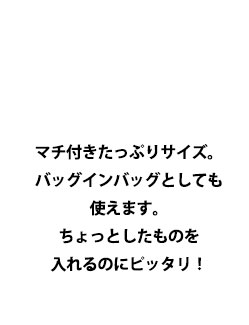 マチ付きたっぷりサイズ。バッグインバッグとしても使えます。
ちょっとしたものを入れるのにピッタリ！