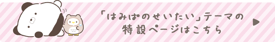 「はみぱのせいたい」テーマ の特設ページはこちら