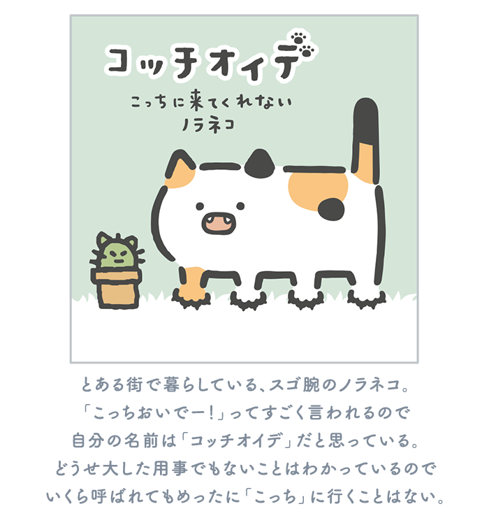 とある街で暮らしている、スゴ腕のノラネコ。
「こっちおいでー！」ってすごく言われるので自分の名前は「コッチオイデ」だと思っている。どうせ大した用事でもないことはわかっているのでいくら呼ばれてもめったに「こっち」に行くことはない。