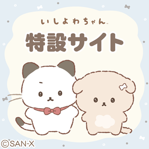 公式