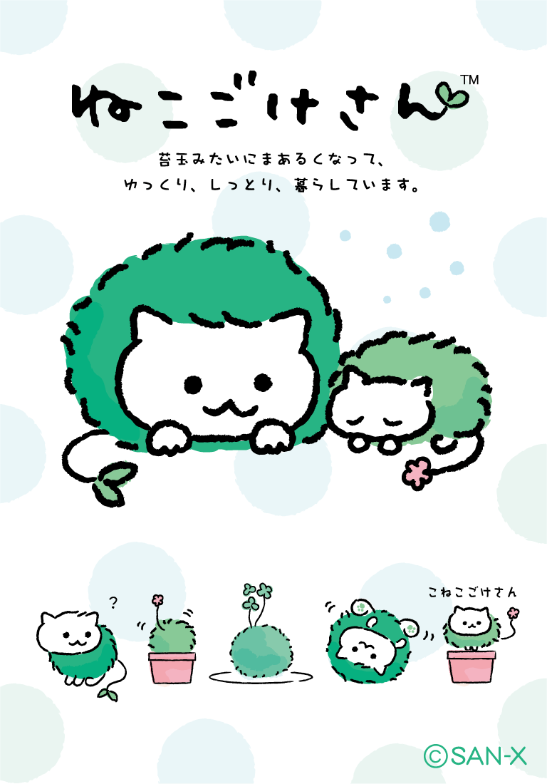 はねこサン様 ネコサン (@neko__san) / X