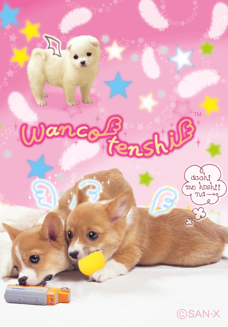 激レア サンエックス わんわんわんこ わんこ天使 ぬいぐるみ
