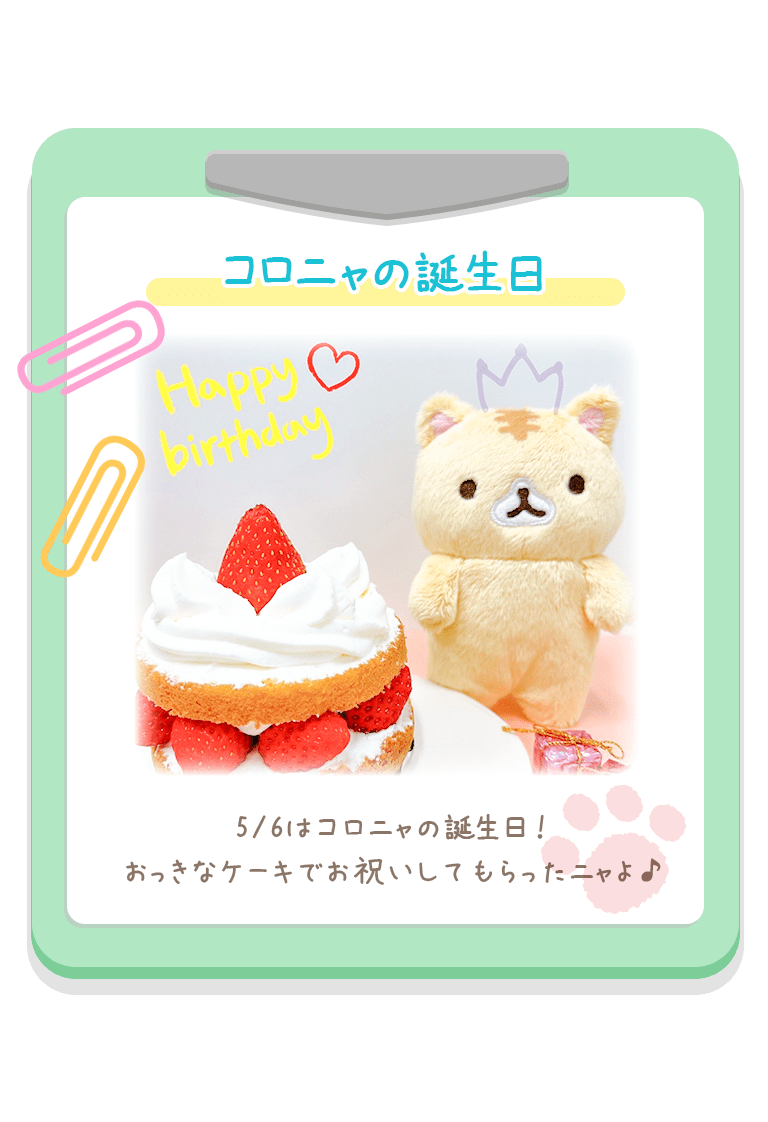 コロニャの誕生日 5/6はコロニャの誕生日！
おっきなケーキでお祝いしてもらったニャよ♪