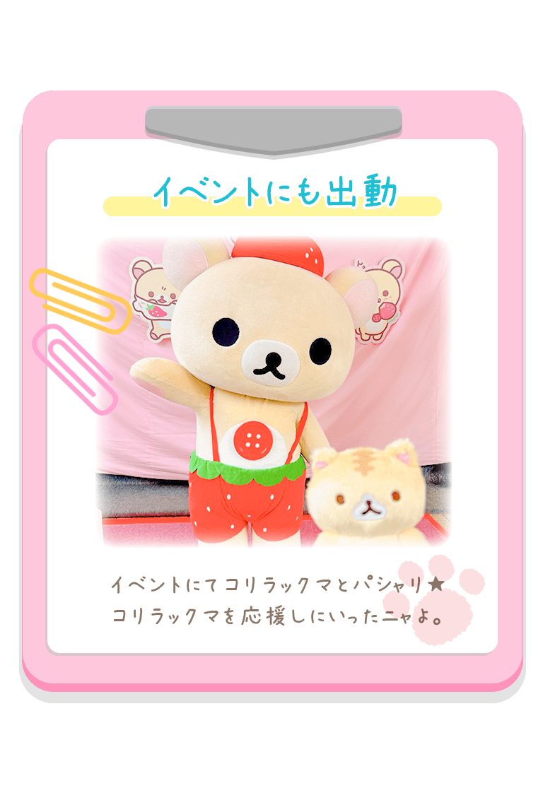 イベントにも出動 イベントにてコリラックマとパシャリ★
コリラックマを応援しにいったニャよ。