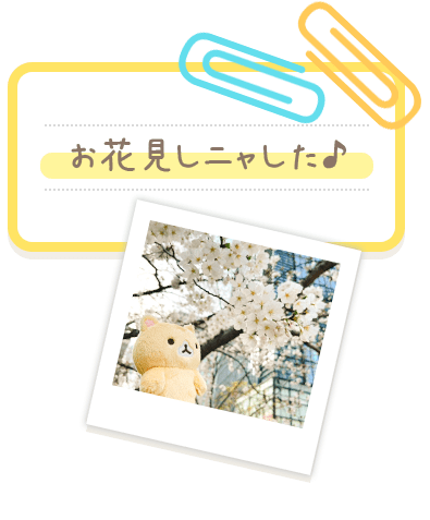 ドキドキするニャ・・・