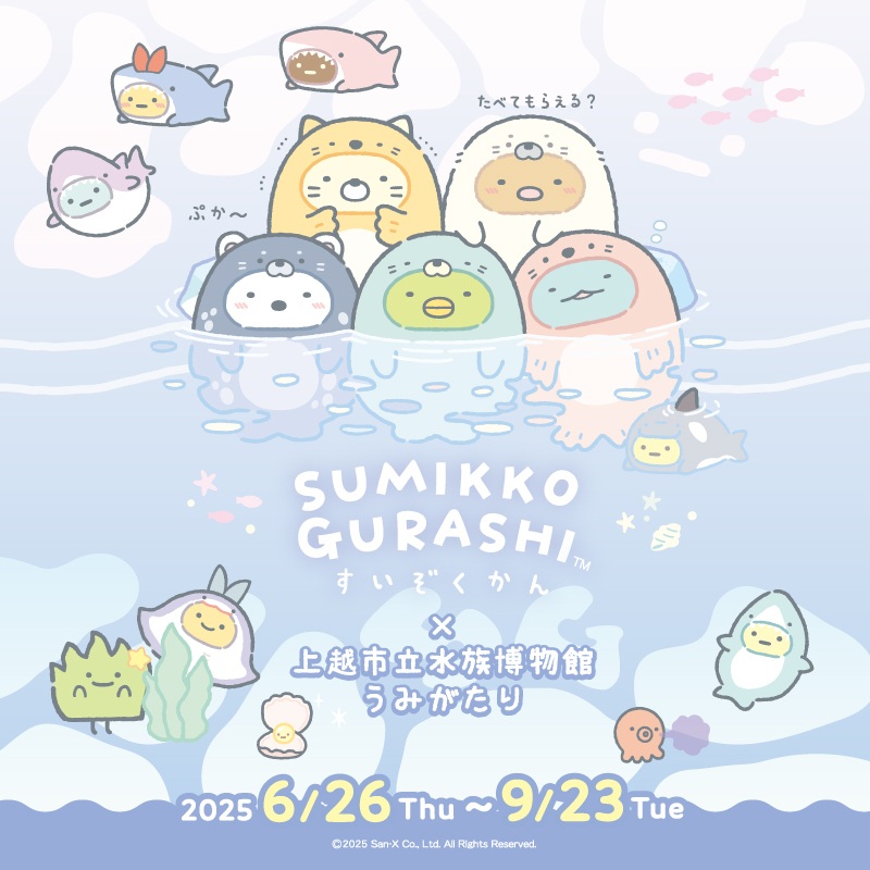すみっコぐらしすいぞくかん×上越市立水族博物館 うみがたり