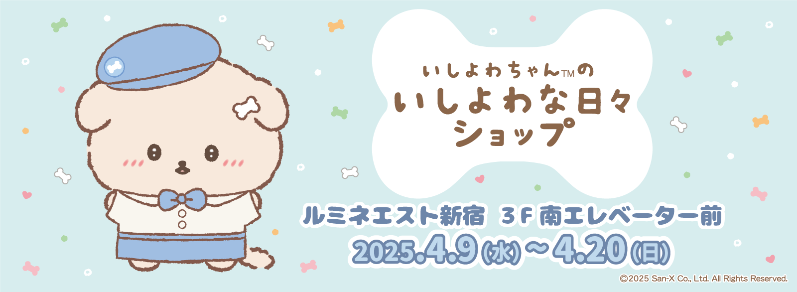 いしよわちゃん_POPUPSHOP