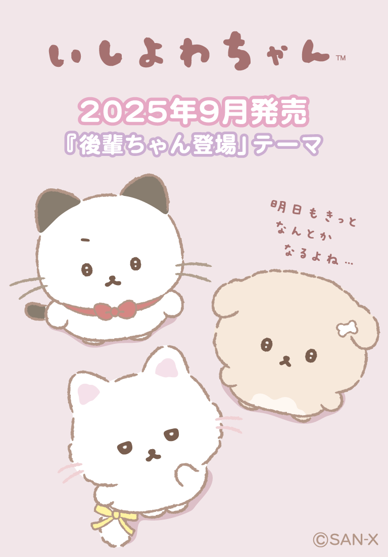 クマsan たっとんぬいぐるみ SSサイズ くまさん – LINE FRIENDS SQUARE