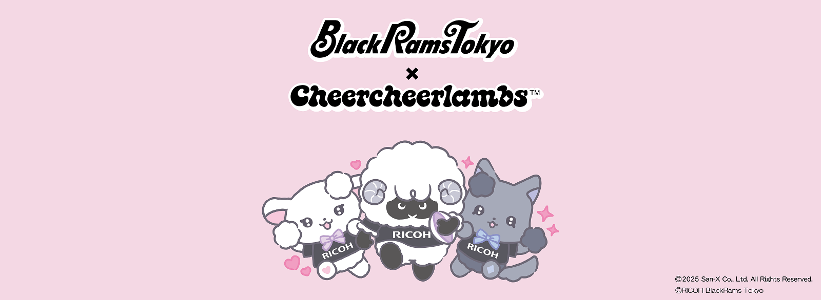 ちあちあラムズ×ブラックラムズ